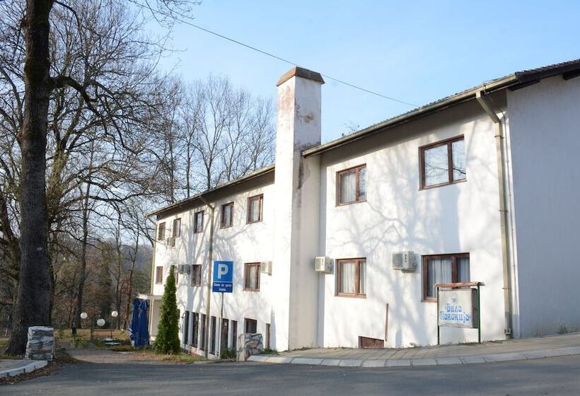 تختخواب و صبحانه Vila Panonija