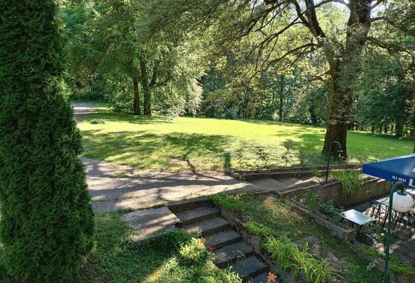 تختخواب و صبحانه Vila Panonija