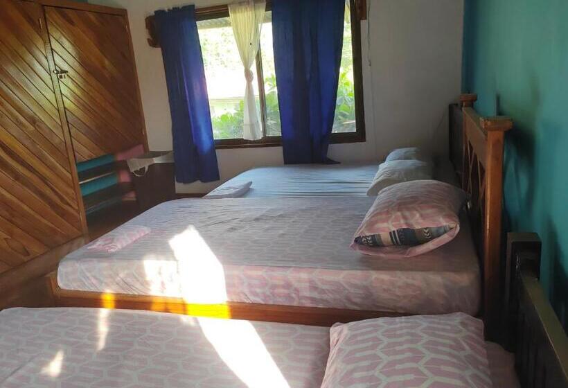 فندق Hostel Marisol