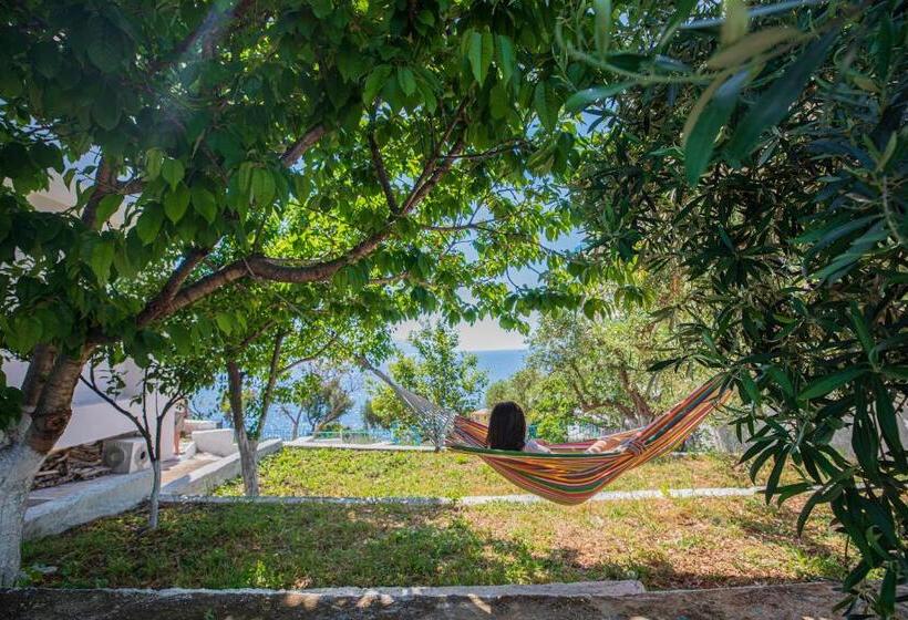 בית מלון כפרי Villa Gaudium