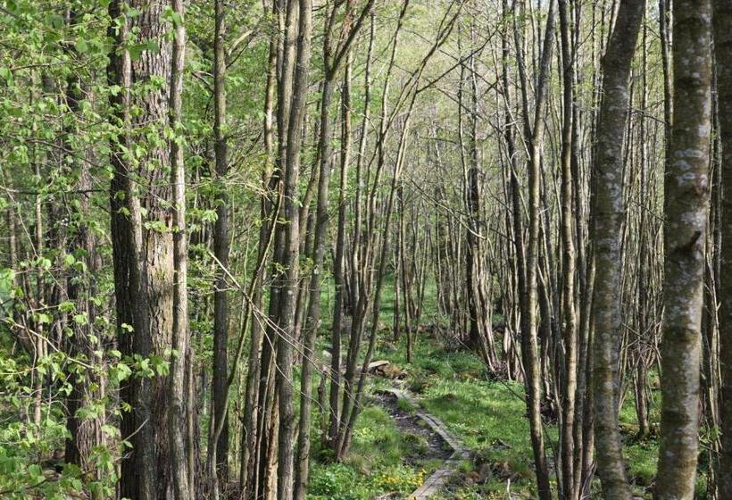 Lilla Rygårdens B&b