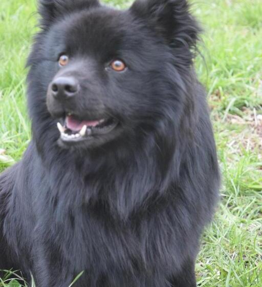 Lilla Rygårdens B&b