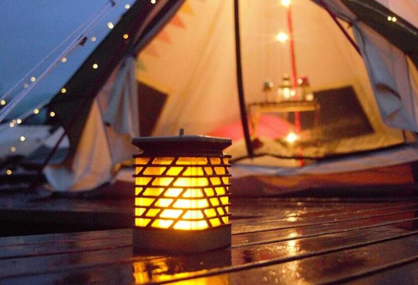 بنسيون 阿蘇び心 Asobi Gokoro