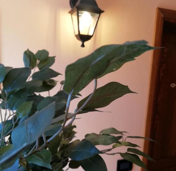 بنسيون Karingo House