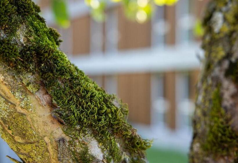 B&b Hotel Mattli übernachtung Frühstück