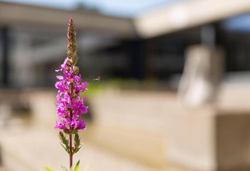 B&b Hotel Mattli übernachtung Frühstück