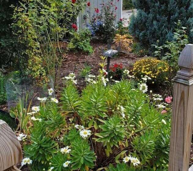 ベッドアンドブレックファースト Davis Square Inn