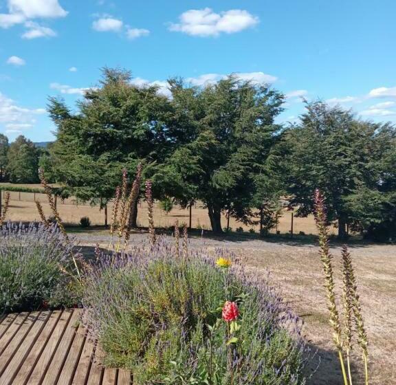 Bed and Breakfast Hostal Parcela 47 Villarrica