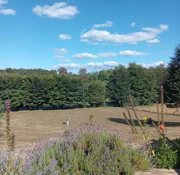 Bed and Breakfast Hostal Parcela 47 Villarrica