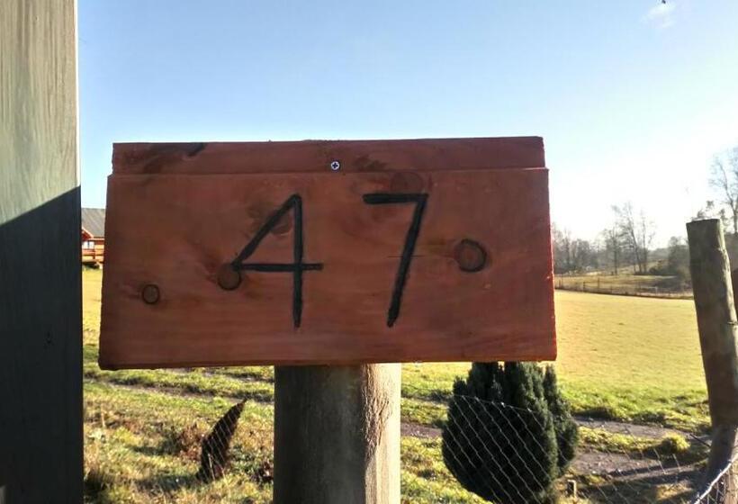 Bed and Breakfast Hostal Parcela 47 Villarrica