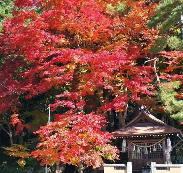 Hida Takayama Hotel Viera Resort