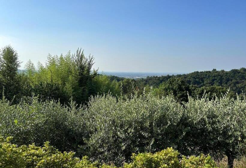 בית מלון כפרי Agriturismo Al Robale