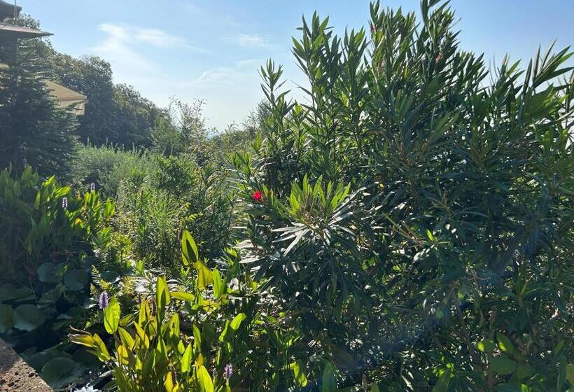 בית מלון כפרי Agriturismo Al Robale