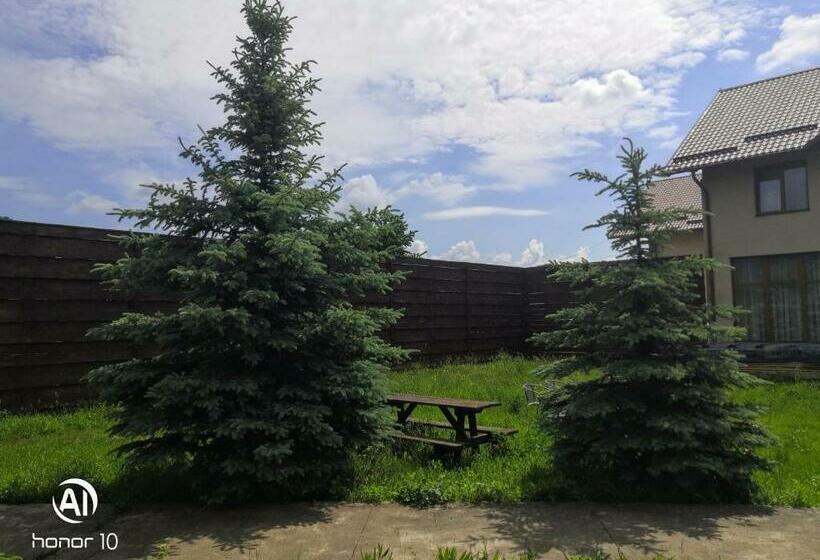 Отель Casa Rubin