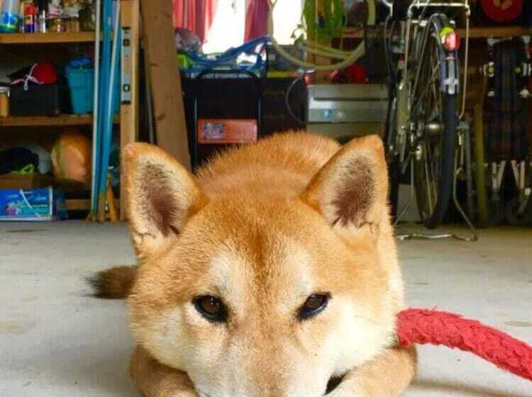 בית מלון כפרי ｂ＆ｂtandem