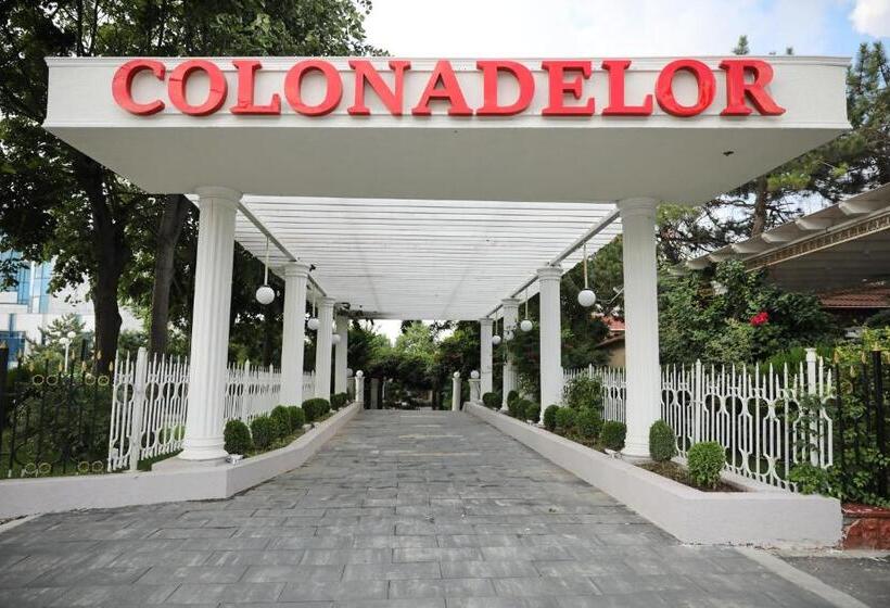 Отель Ten Constanta