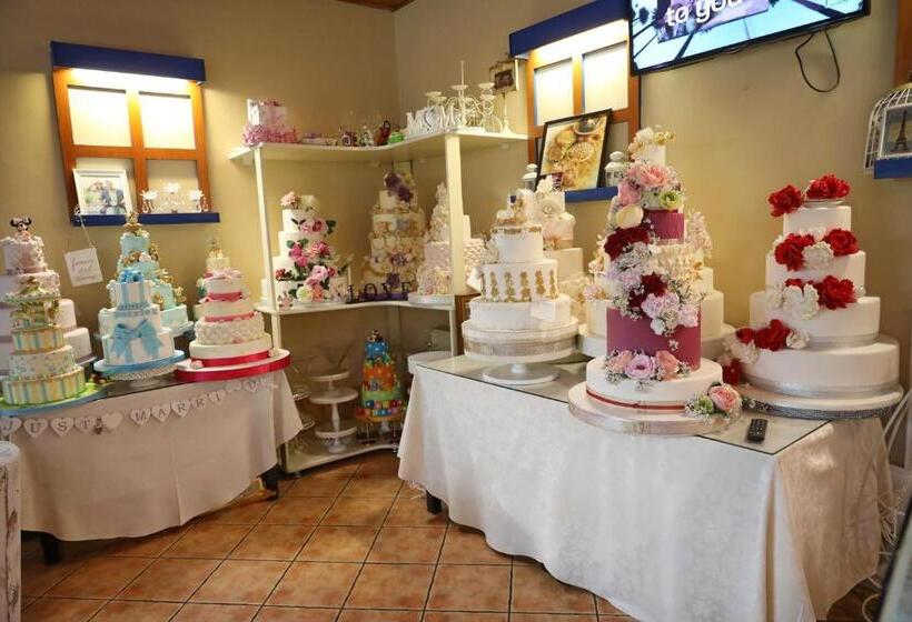 Отель Ten Constanta