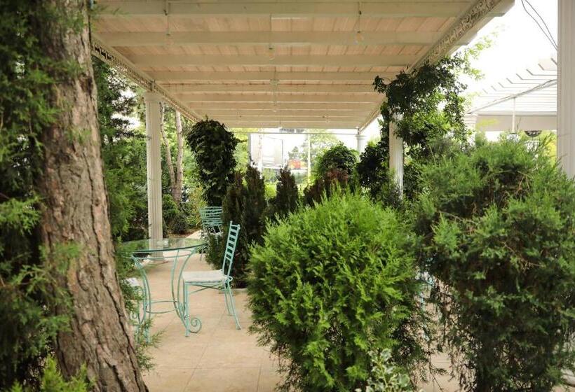 Отель Ten Constanta