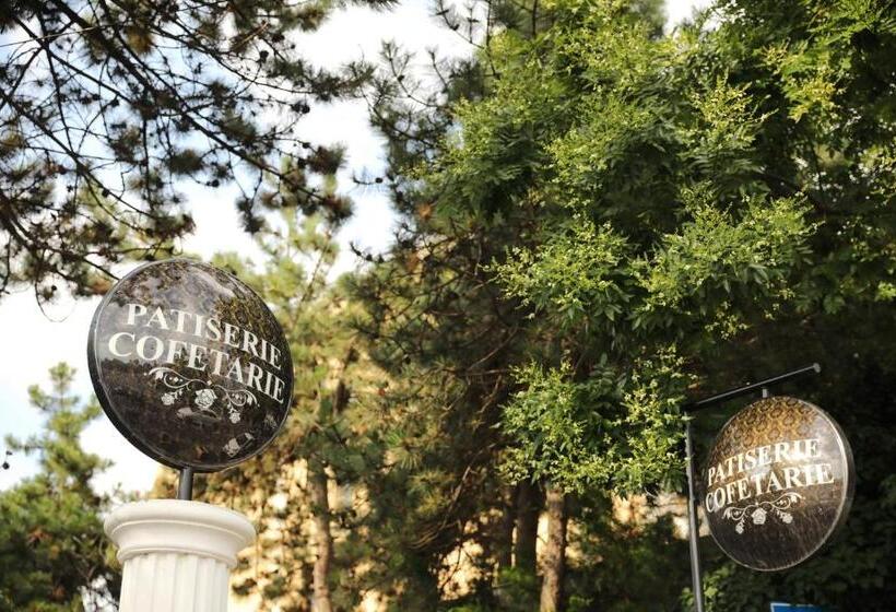 Отель Ten Constanta