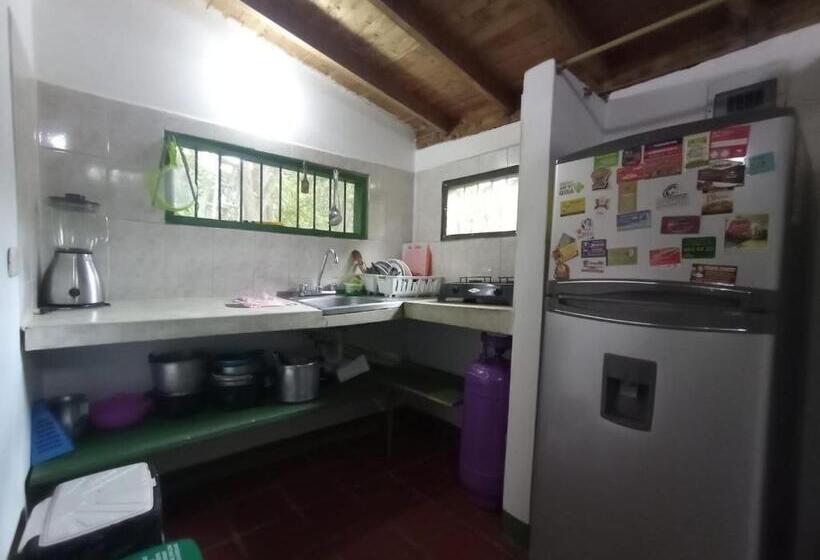 Las Cabanas De Pino Hostel