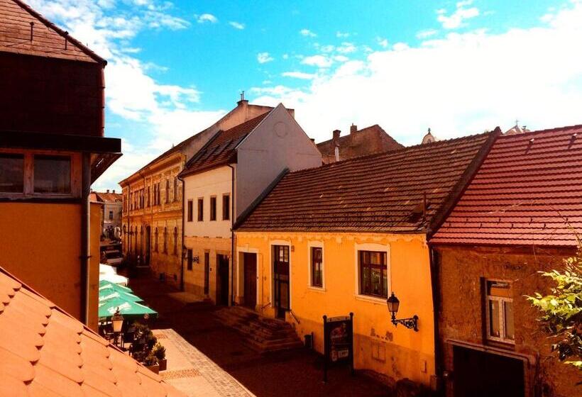 膳宿费 Eszterhazy Guesthouse