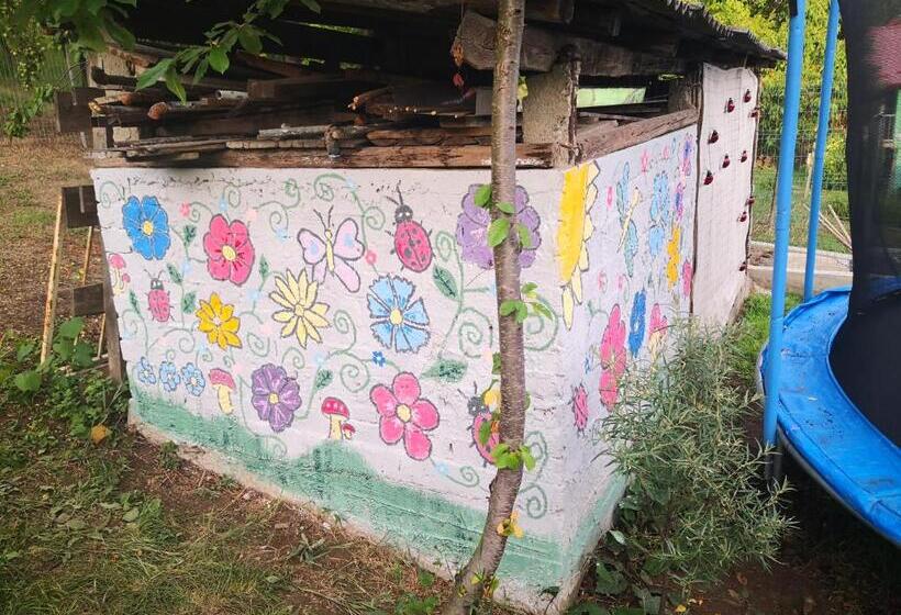 بنسيون Noira House