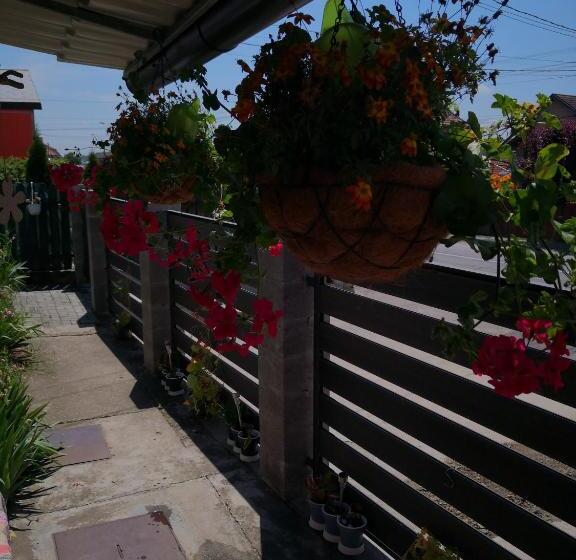 بنسيون Noira House