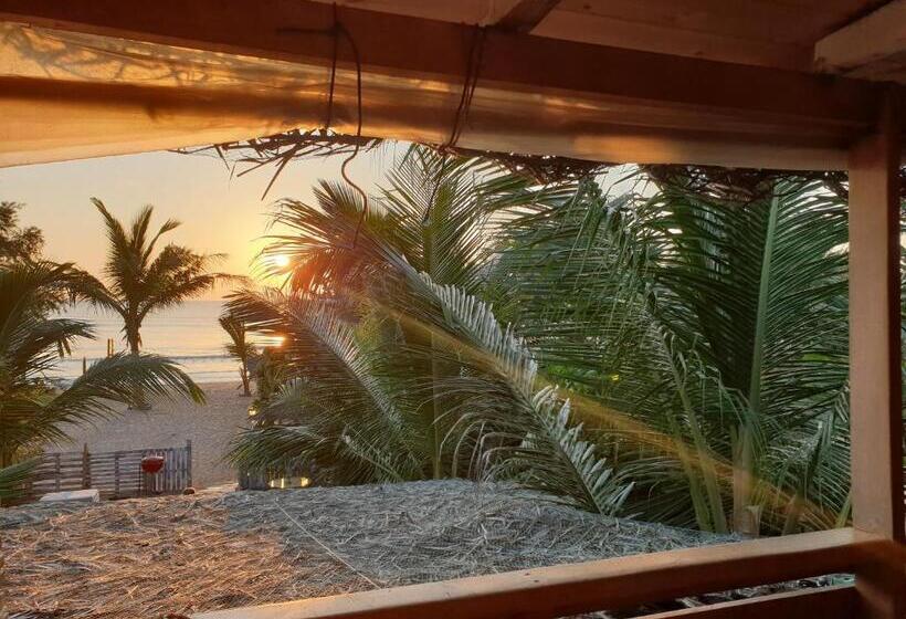 渡假胜地  Memo's Beach