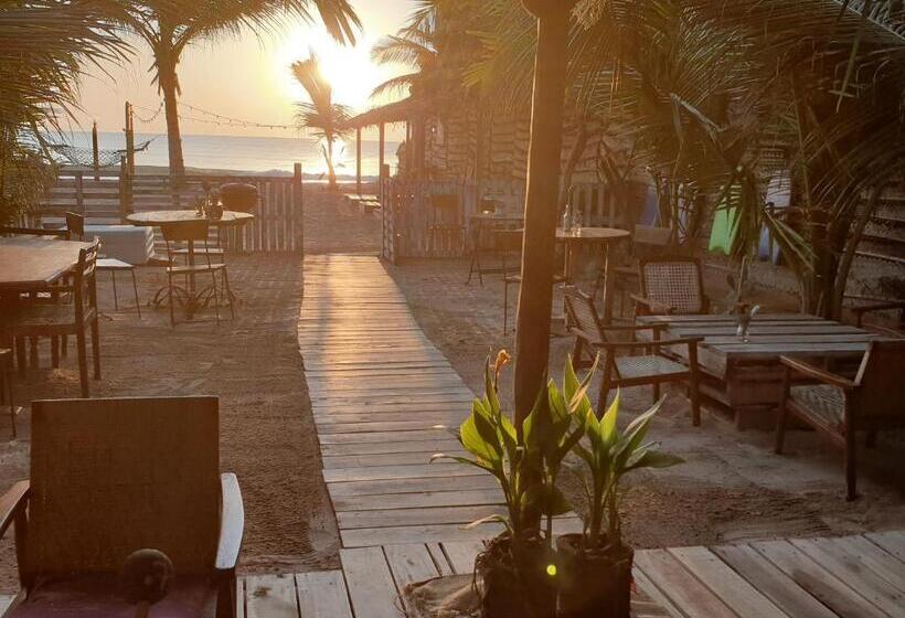 渡假胜地  Memo's Beach