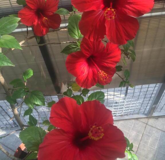 هاستل Ludmila Guest House   гостевой дом людмила