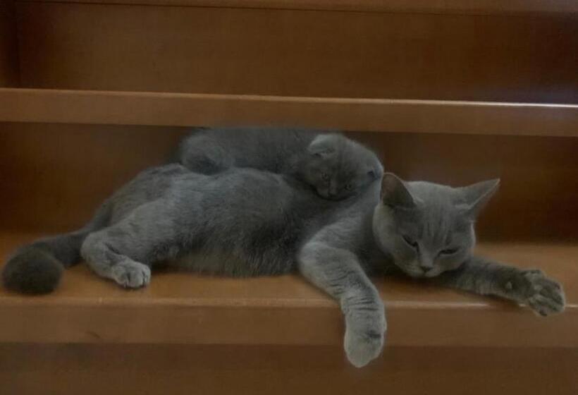 هاستل Ludmila Guest House   гостевой дом людмила