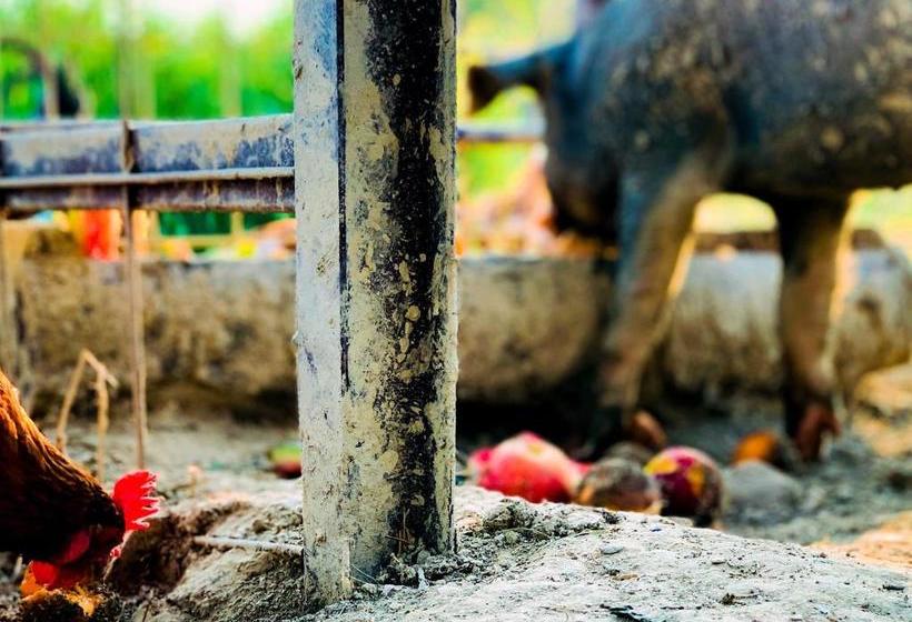 住宿加早餐  Relais Tenuta Gentili