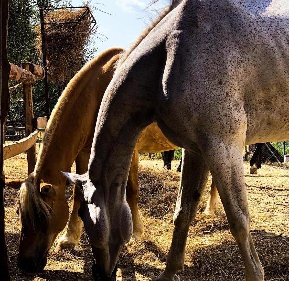 住宿加早餐  Relais Tenuta Gentili