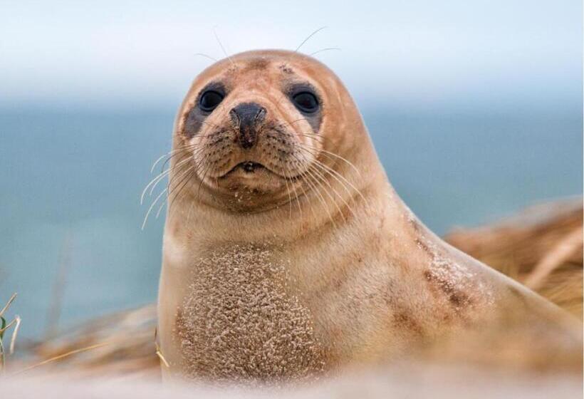 Camping Hotel Renesse