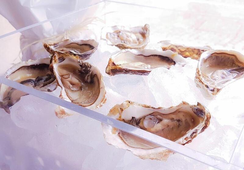 בית מלון כפרי Fly Deco