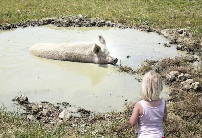 בית מלון כפרי Palagina La Cascina