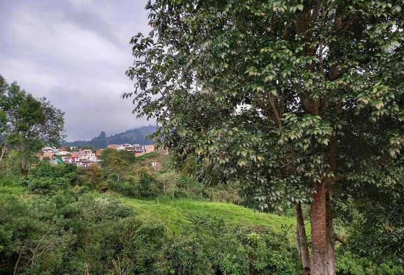 پانسیون Hostal Bamboo