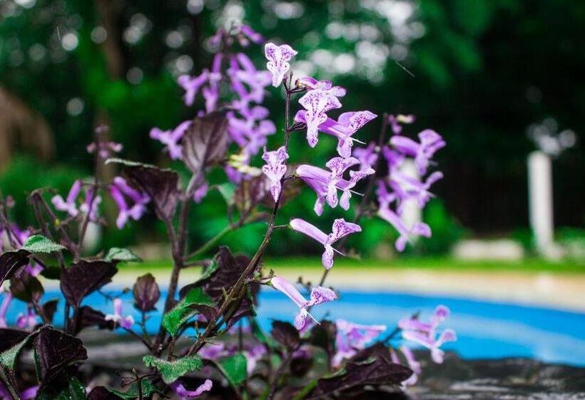 민박 Boutique Patampa