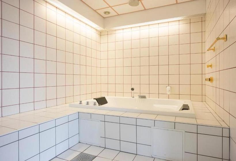 בית מלון כפרי Dronningen