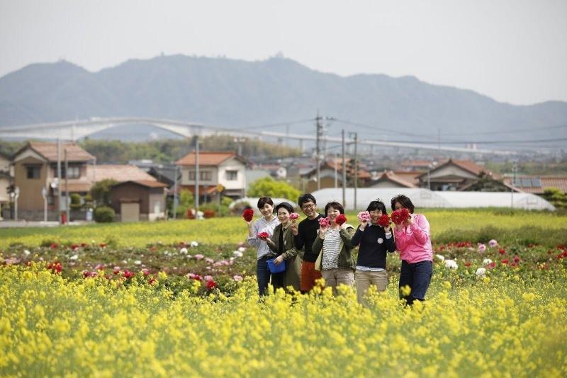 膳宿费 Cocoreto The Guesthouse Daikon Island