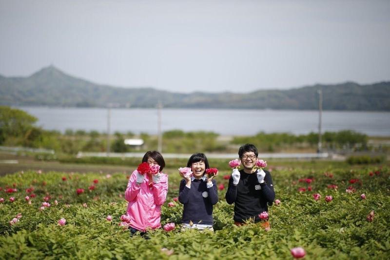 膳宿费 Cocoreto The Guesthouse Daikon Island