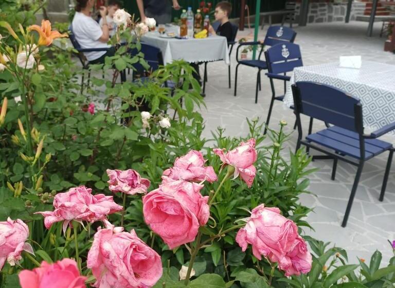 پانسیون Guesthouse Kiko