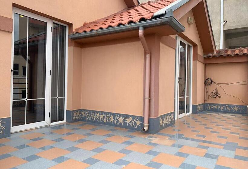 פנסיון Vila Topciu