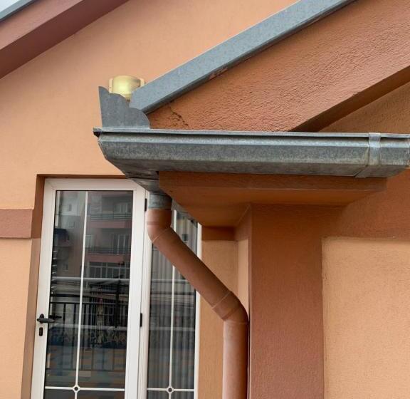 פנסיון Vila Topciu