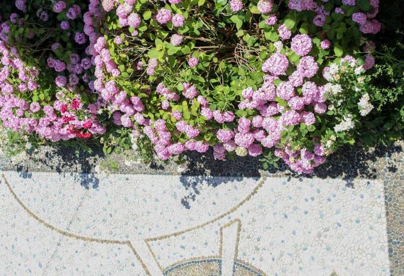 פנסיון Vila Topciu