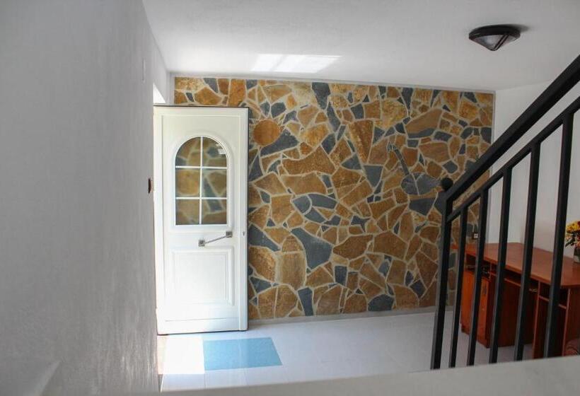 פנסיון Vila Topciu