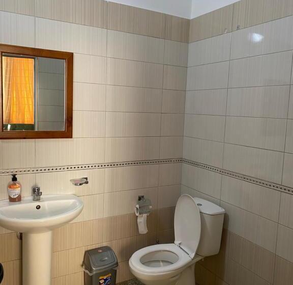 פנסיון Vila Topciu