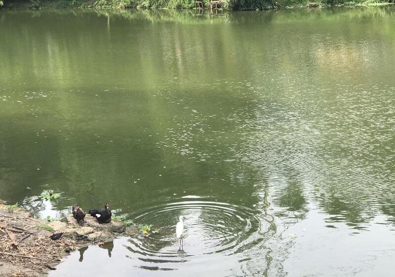 هاستل Gin Lon Lake Motel