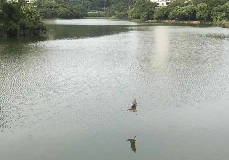 هاستل Gin Lon Lake Motel