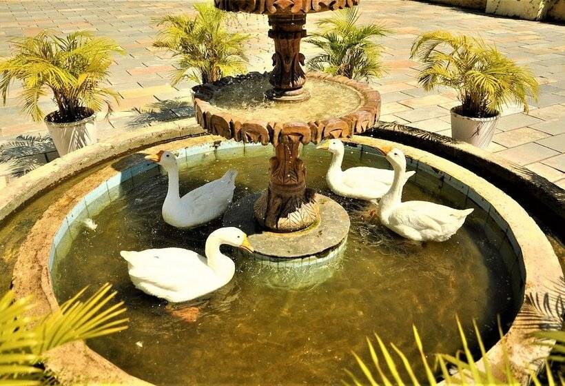 Alcor Spa Resorts
